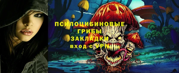 МДПВ Абаза