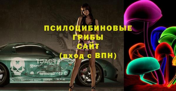 МДПВ Абаза