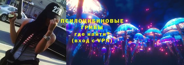 ГАЛЛЮЦИНОГЕННЫЕ ГРИБЫ Абдулино