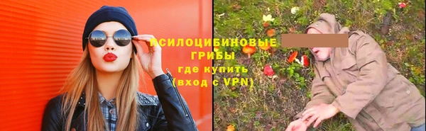 ГАЛЛЮЦИНОГЕННЫЕ ГРИБЫ Абдулино