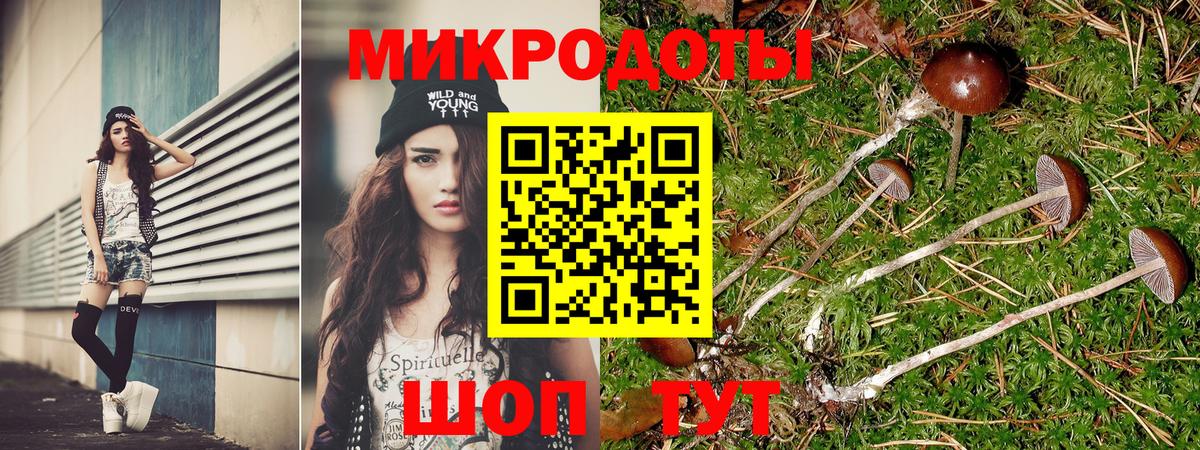 Псилоцибиновые грибы ЛСД Советский